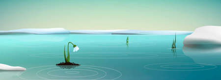 first snowdrop in the water of the melting snow, spring come,のイラスト素材