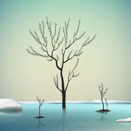 Melting snow and sprout catkin trees in spring clean cold water, spring come, spring nature beautyのイラスト素材