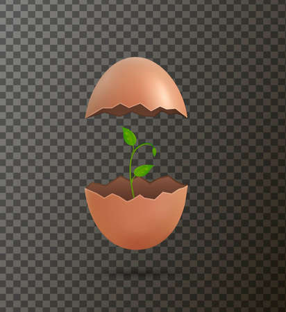 isolated cracked egg with green sprout inside,のイラスト素材