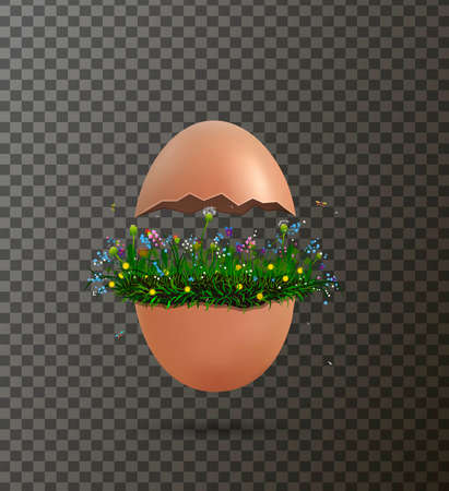 Crack egg with flowers growing inside, Easter composition with flowers and egg isolated,のイラスト素材