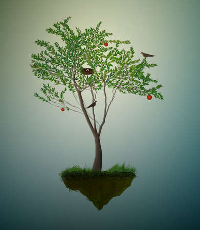 Piece of summer, red apple fruit tree with birds and nest growing on the flying rock,のイラスト素材