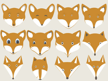 set of different fox faces,
