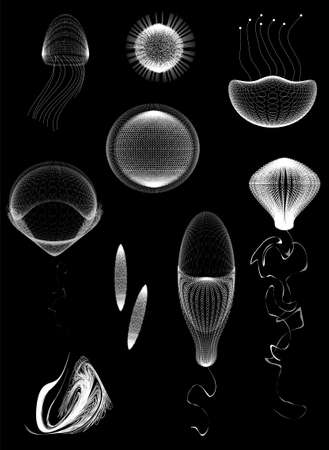 primitive organisms set on , jelly unicellular vectorのイラスト素材