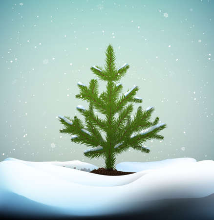 small Christmas trees or young fir tree growing on soil in winter snowing weather, vectorのイラスト素材