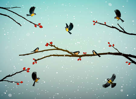 titmouse birds on the dog-rose tree branch in winter season, family of birds in snowy cold whether,のイラスト素材
