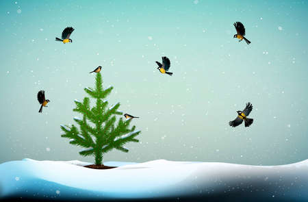 titmouses on the small pine tree in the winter season, protect the forest life, family of titmouses in snowy cold whether,のイラスト素材