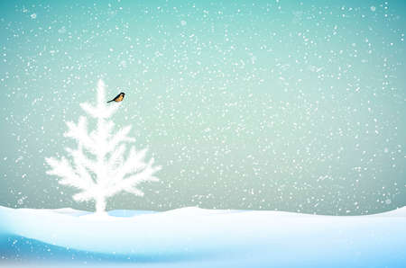 small white Christmas trees or young fir tree growing on soil in winter snowing blizzard weather,の写真素材
