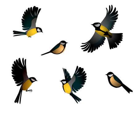set of titmouse isolated,のイラスト素材
