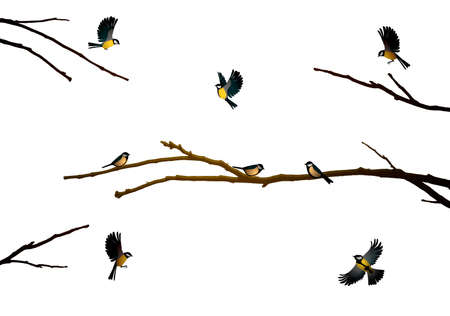 titmouse birds on the tree branch isolated on the white,のイラスト素材