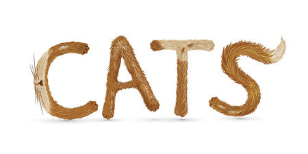 text cat writing with funny fluffy spot lteters on white background, red cat letters, vectorのイラスト素材