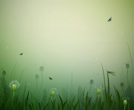 summer morning, morning fresh summer background with dandelions, dragonfly and butterfly, vectorのイラスト素材