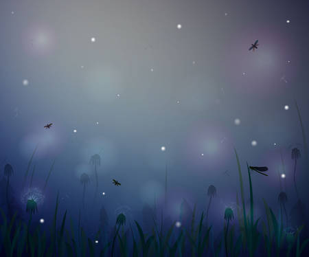 summer night, night summer field life, fireflight vectorのイラスト素材