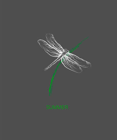 creative logo for summer collection, forest animal concept, dragonfly looks like tree, eco product idea,のイラスト素材