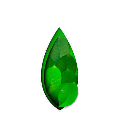 spring symbol, layered green leaf on the white background, eco concept, protect the plant idea,のイラスト素材
