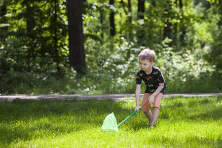 Boy Sitting Butterfly Net.の写真素材
