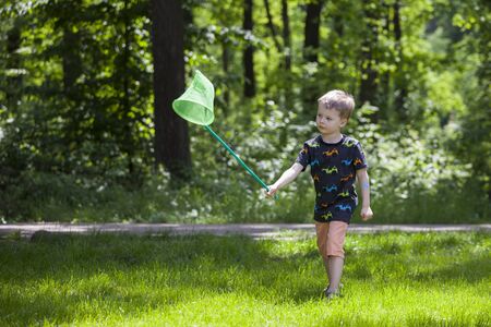 Boy Sitting Butterfly Net.の写真素材