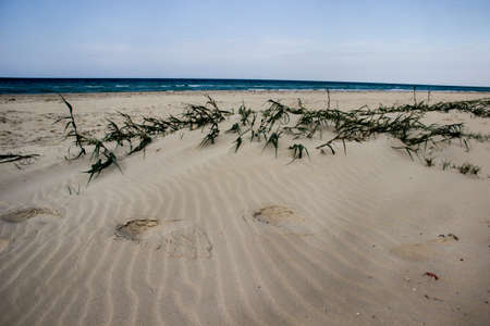 TRACES ON SAND AT GUANABO BEACHの写真素材