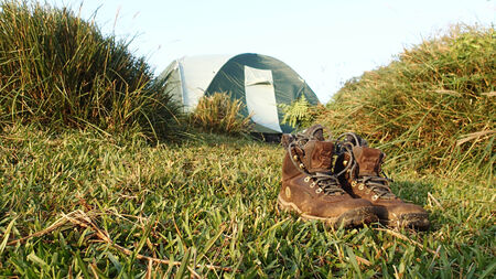 Camping in the wildの写真素材