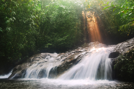 Waterfall in rain forest with sunbeamの写真素材