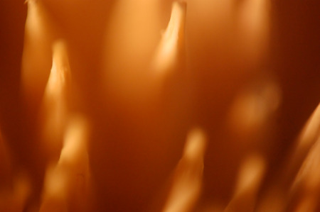 close up of wooden stick stirrers for background usageの写真素材