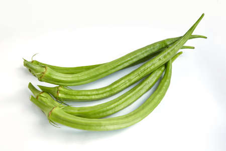 Group of okra isolated on white backgroundの写真素材