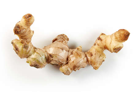 Ginger isolated on white backgroundの写真素材