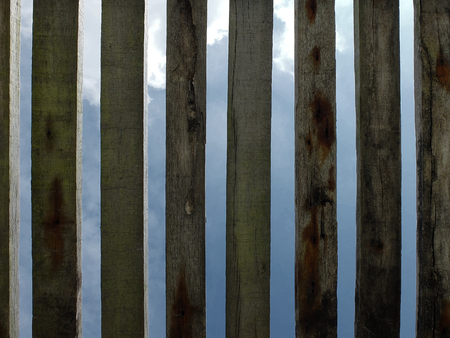 Old wooden planks. Background upward perspective to beautiful skyの写真素材