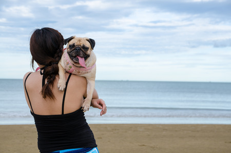 Pretty lonely asia girl hold a cute dog puppy pug against beach , sea and blue sky backgroundの写真素材