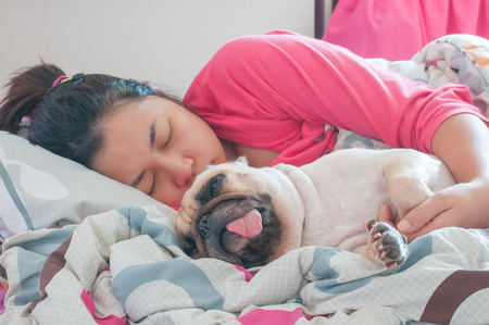 Asian Woman and her ugly pug dog sleep in the bedの写真素材