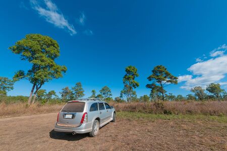 off road car in forest at Thung Salang Luang National Park, Phetchabun province,Thailand.