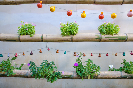 Beautiful Modern vertical garden , home decorationの写真素材