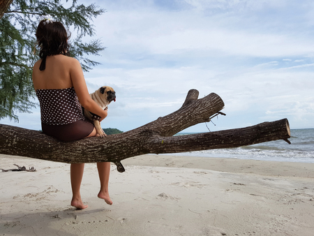 Sad woman sit on tree in white sand beach on the sea and carry cute pug dog for soothe with dark cloudyの写真素材