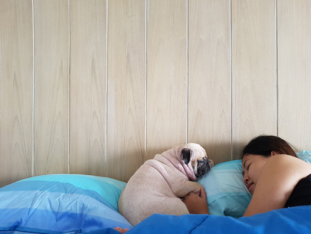 Asian Woman and her cute puppy pug dog sleep in bedの写真素材