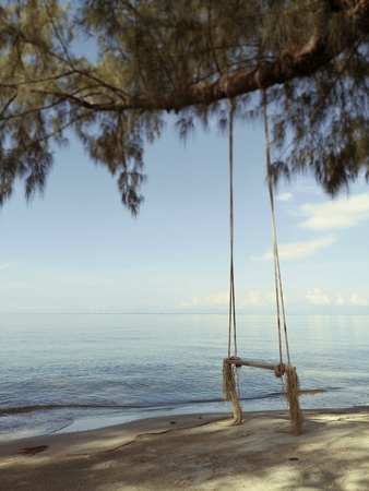 Wooden swing hanging from a tree on the beach in the morning with sun lightの写真素材