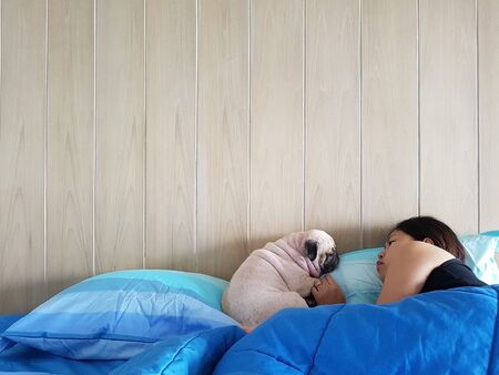 Young woman owner is lying and sleeping with pug dog in bed.の写真素材
