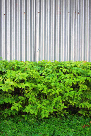 Zinc fenceの写真素材