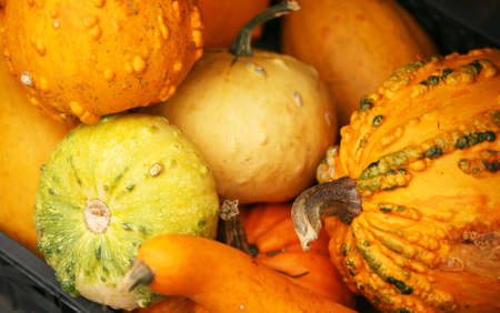Vegetables