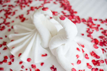 swans made from towels are kissing on honeymoon white bed.の写真素材