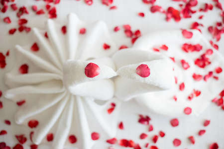 swans made from towels are kissing on honeymoon white bed.の写真素材