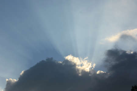 sunlight
