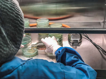 Blurred of scientist doing the microbiology testing in laminar air flow cabinet at the microbiological limit test roomの写真素材