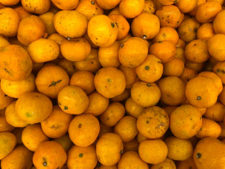 Group of not fresh and bruised orange on the shelf in the fruit zone at supermarketの写真素材