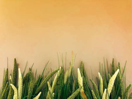 Artificial grass field decorate on the plain wall background