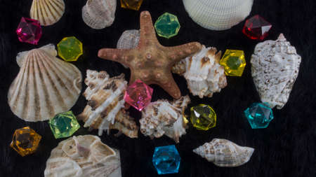 Seashells and starfish with colorful plastic gems on black fur background