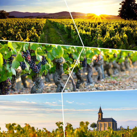 Beaujolais rectangular travel photo collageの写真素材