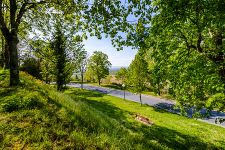 Tree path at Lautrec village, Tarn, Franceの写真素材