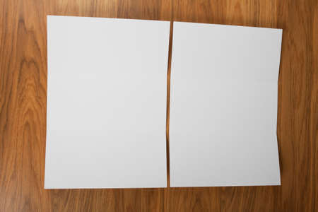 identity design, corporate templates, company style, set of booklets, blank white folding paper...