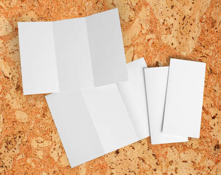 identity design, corporate templates, company style, set of booklets, blank white folding paper...