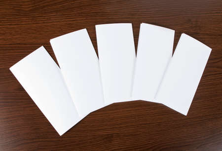 identity design, corporate templates, company style, set of booklets, blank white folding paper...