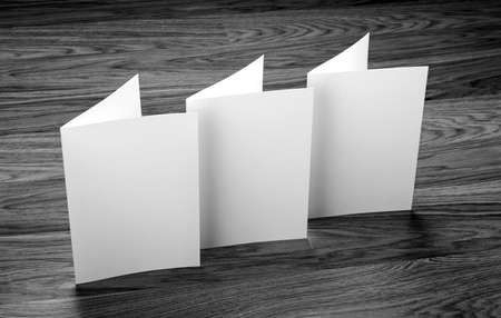 identity design, corporate templates, company style, set of booklets, blank white folding paper flyerの写真素材
